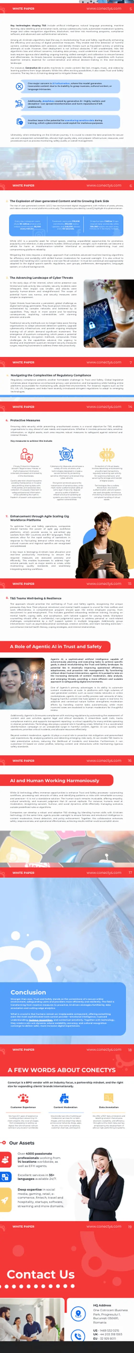 Strony dawnego white paperu Conectys: Trust & Safety in Transition